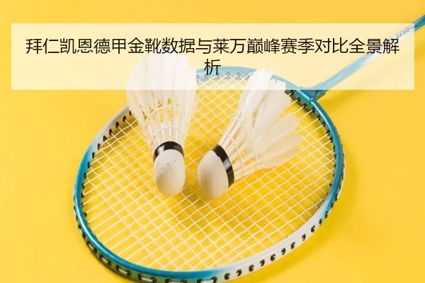 拜仁凯恩德甲金靴数据与莱万巅峰赛季对比全景解析